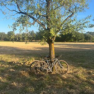 Gravelbike fahren