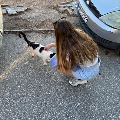 Jacky mit einer Katze