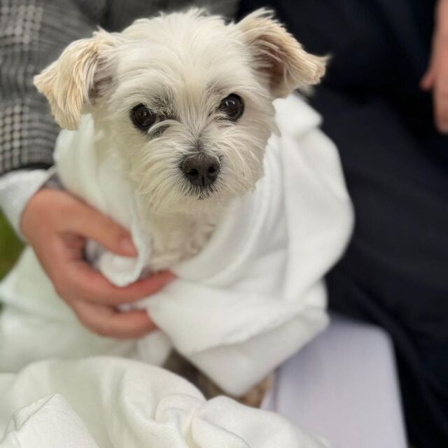 Betty im Handtuch